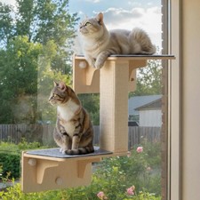 Double Cat Shelves with Scratching Post for Wall and Window with Solid Wood, ...