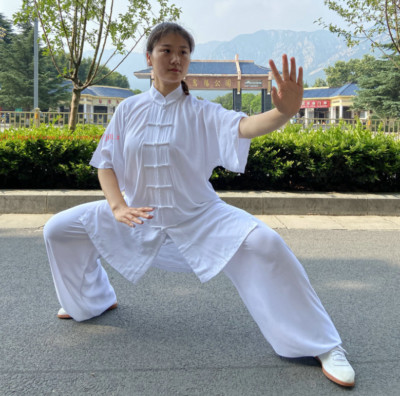 Unisex Summer Cotton Tai chi Uniform Kung fu Martial arts morning exercise Suit