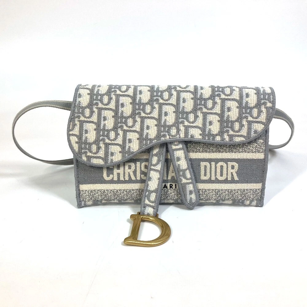 DIOR belt waist pouch Oblique SADDLE slim pouch embroidered logo Waist Pouch