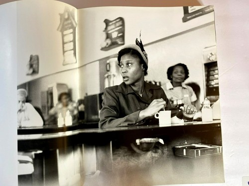 Richard Avedon Autobiography Photography Camera Art Fashion 1993 FIRST EDITION! - Picture 8 of 10