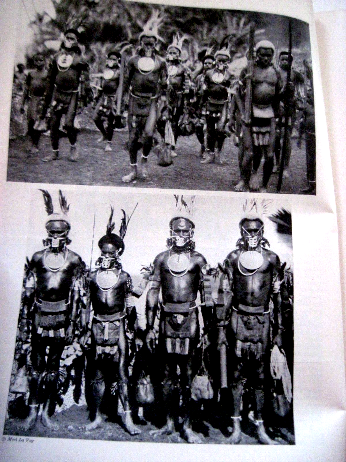 Picture 8 of 21