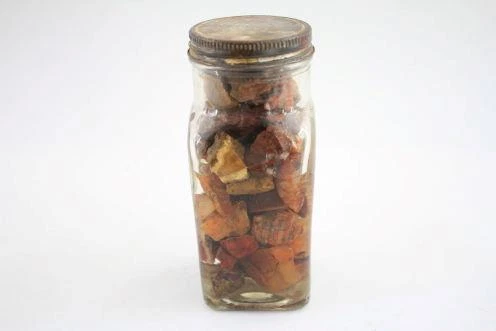 Tasmanian Gemstone Material in Vintage Cream Jar Agate Onyx Wood Fern Etc - Picture 5 of 7
