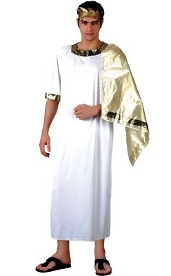 Adult Ancient Greek God Caesar Toga Fancy Dress Costume Male Mens Stag Party Ebay