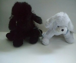 webkinz black poodle