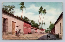 Veracruz Antique Mexico Postcard VERA CRUZ Tropical Town Railway Donkey 1910
