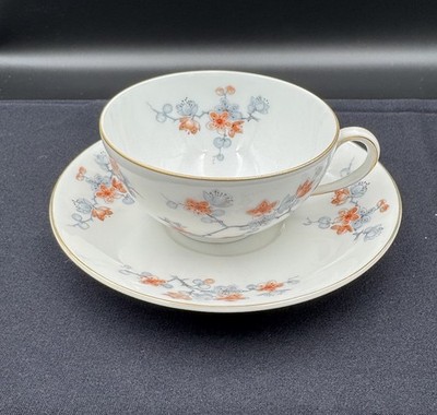VTG Bavarian Porcelain Cup & Saucer By Thomas (Rosenthal)