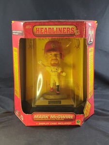Headliners XL | eBay