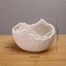 Water-Growing Vase Modern Minimalist  Vase Decorative Centerpiece Irregular