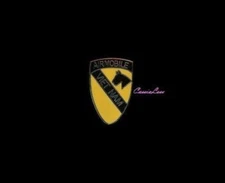 USA 1st Cav. Airmobile + a custom promo pin 
