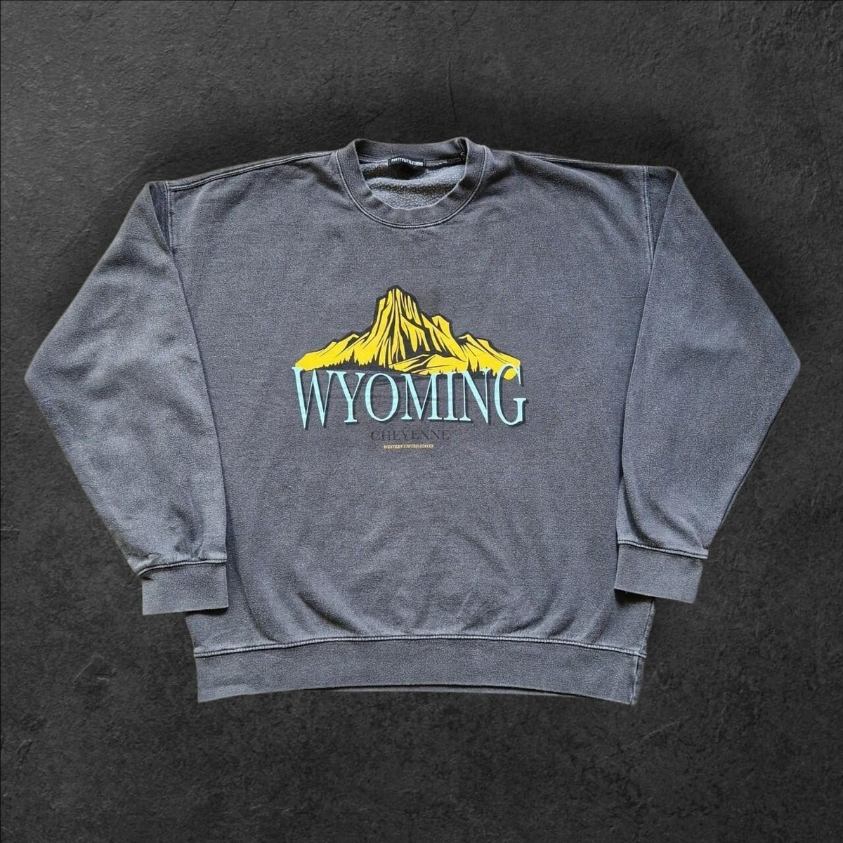 womens i think prettylittlething grey wyoming graphic print sweatshirt, M