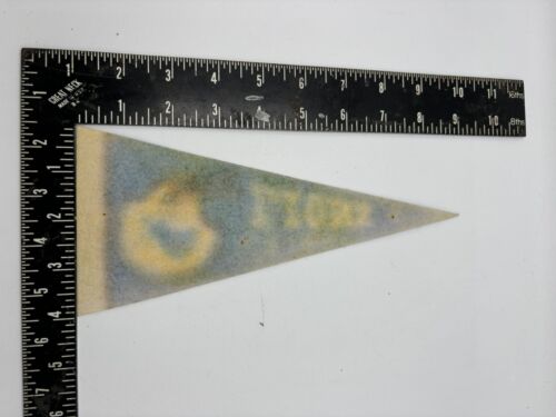 Vintage 1980s NFL Football Teams Small Mini Felt Pennants 4" X 9" Detroit Lions - Picture 2 of 2