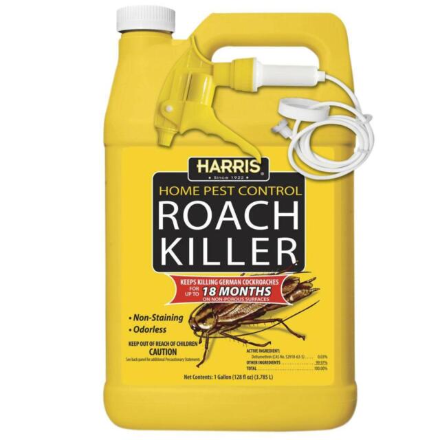 Where can i buy cockroach killer