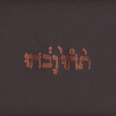 Godspeed You! Black Emperor Slow Riot For New Zero Kanada 12'' Vinyl EP 2002