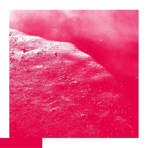 David Allred The Cell (Vinyl LP) 12" Album