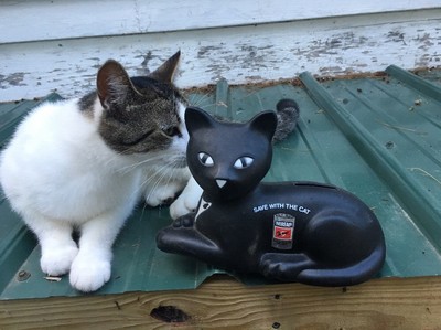 VTG ADVERTISING Eveready Battery Black Cat Coin bank PLASTIC TOY