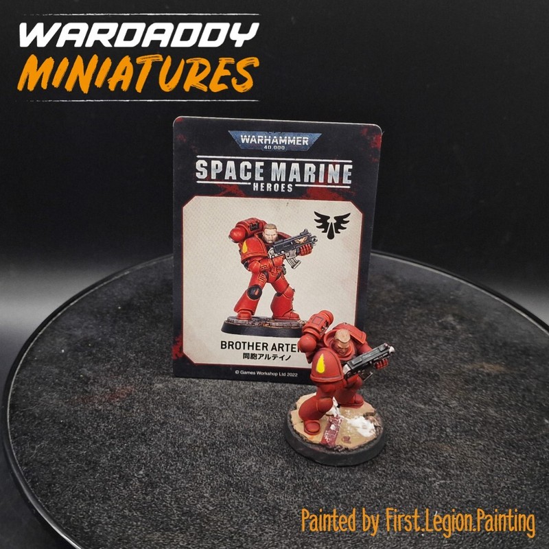 Pro Painted Warhammer 40k Blood Angels heroes Brother Arteino games workshop