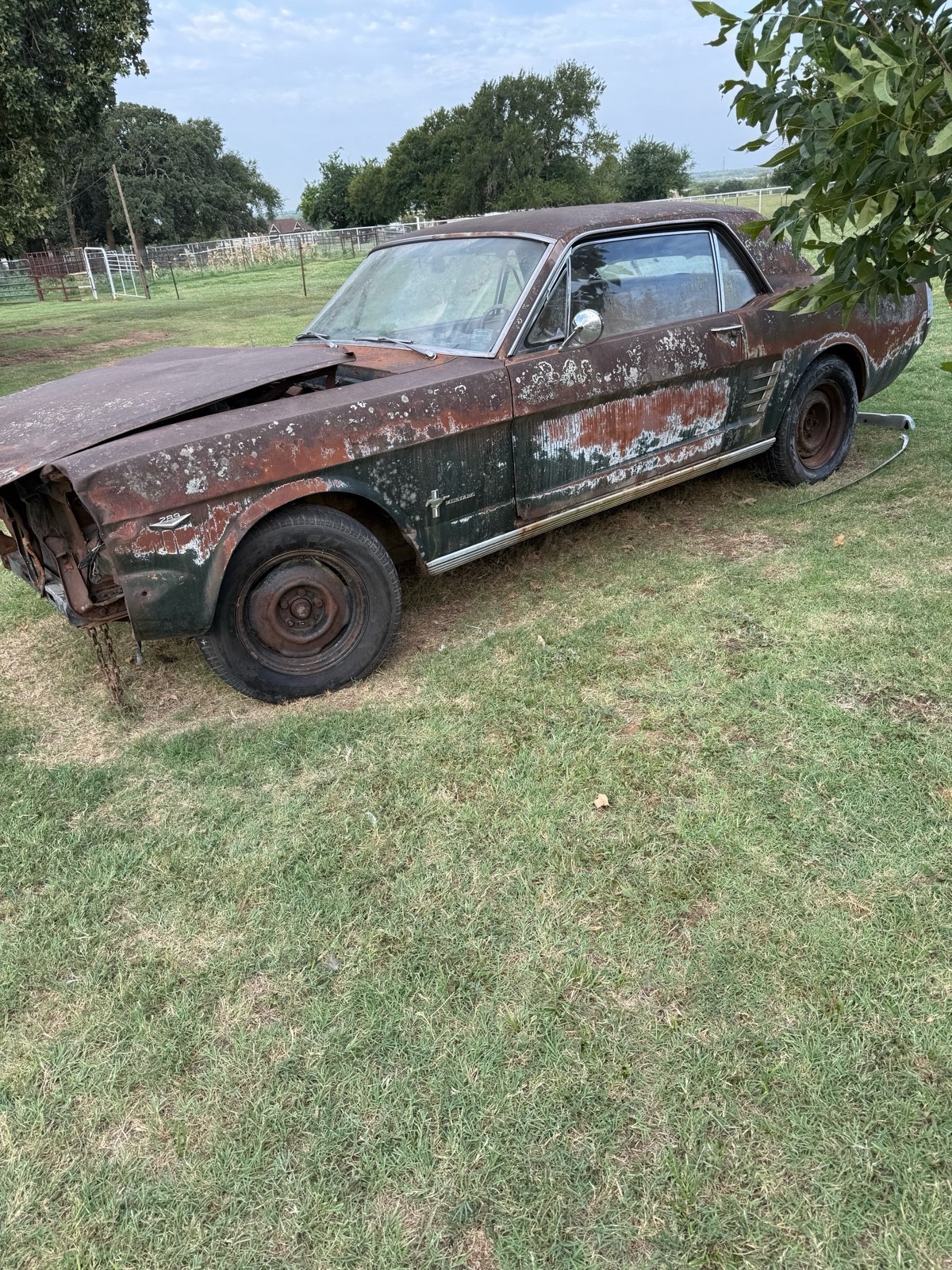 1966 Ford Mustang for sale in Joshua Texas