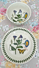 Vintage 1972 Portmeirion Botanic Garden Matching CONVOLVULUS Bowl & Side Plate