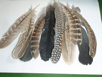GEMISCHTE FEDERN. 2NDS. KUNST/KINDER BASTELN/VIKTORIANISCHE STIFTE