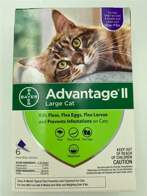 bayer advantage ii large cat