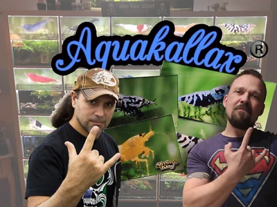 Aquakallax ® Lichtblende "Frame" für dein Kallax "Shrimpking Edition"/ Blende