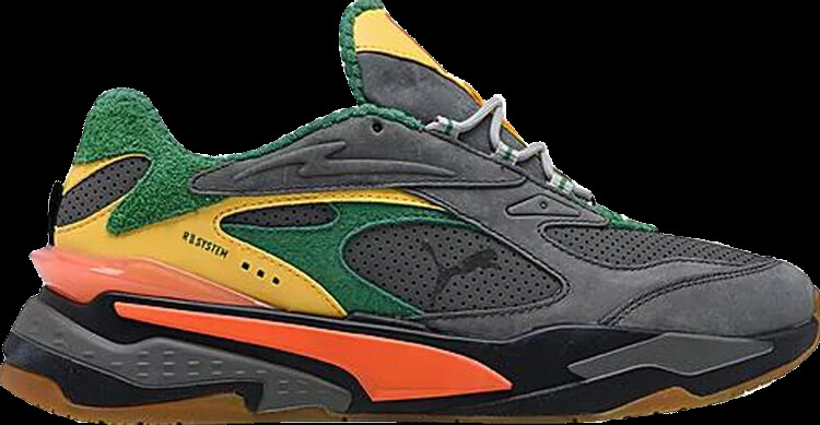 PUMA RS-FAST  display picture 3