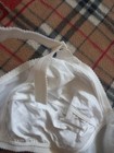 Bild 12 von 12