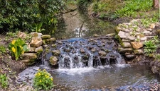 Photo 12x8 Minterne Gardens: Exotic plants by a small weir Minterne Parva  c2016