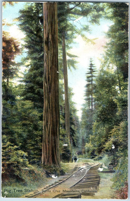 c1907-10 Big Tree Railroad Station Santa Cruz, California Postcard F187