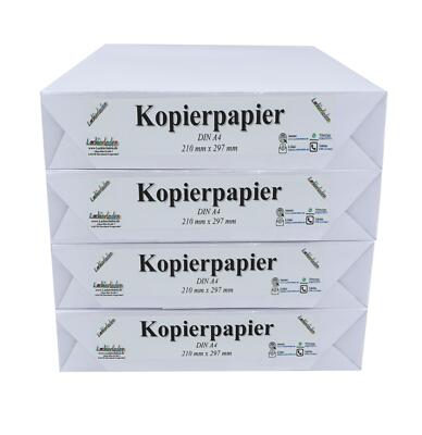 2000 Blatt PAPIER Paper DIN A4 weiß Kopierpapier, Druckerpapier