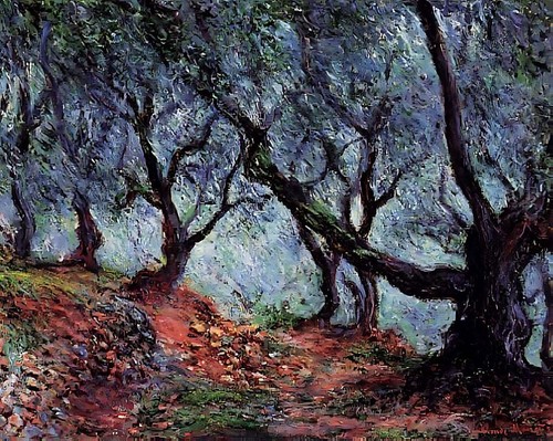 Hain der Olivenbäume in Bordighera Gemälde von Claude Monet 8x10" Kunstdruck