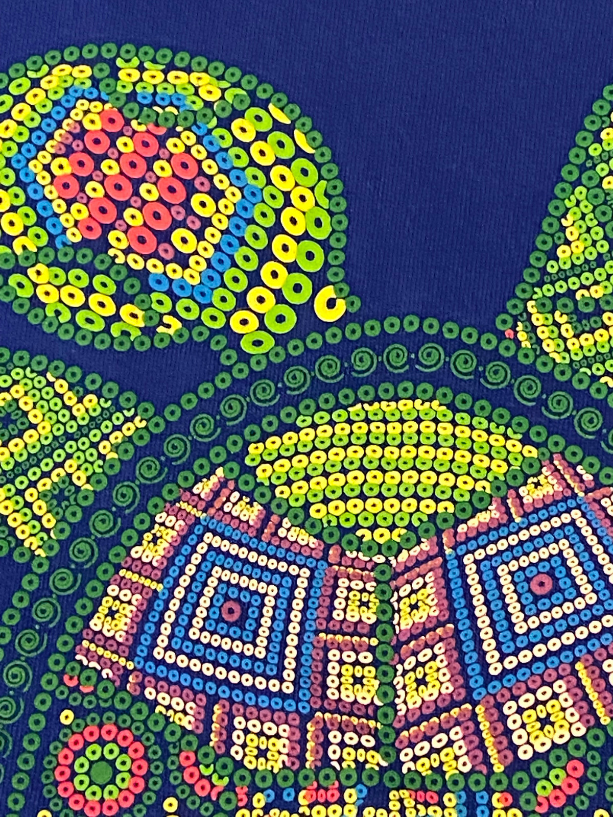 Turtle Puerto Progreso Mexico Multi Colored Lifte… - image 8