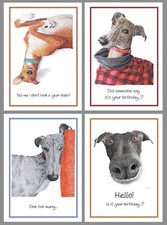 Greyhound birthday blank cards free delivery, dog galgo charity cute funny