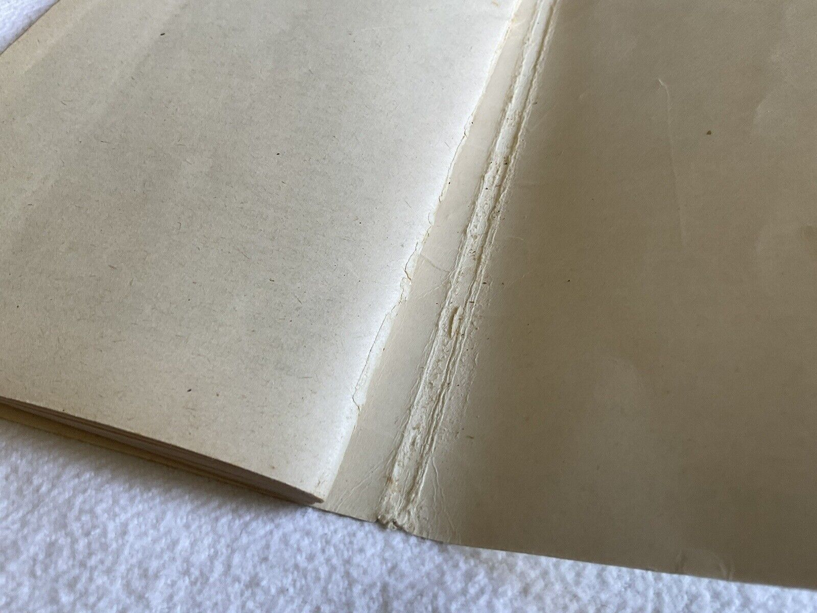 Foto 21 di 24