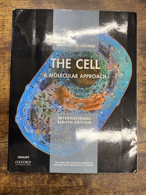 The Cell XE: A Molecular Approach - Paperback By Cooper, Geoffrey