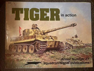 Tiger in Action by Bruce Culver (Trade Paperback)