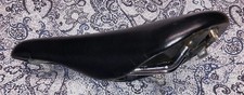 eBay Auction Picture