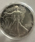 1987 Silver Eagle $1 Proof Beautiful Coin with Light Toning In Tube, No RESERVE!