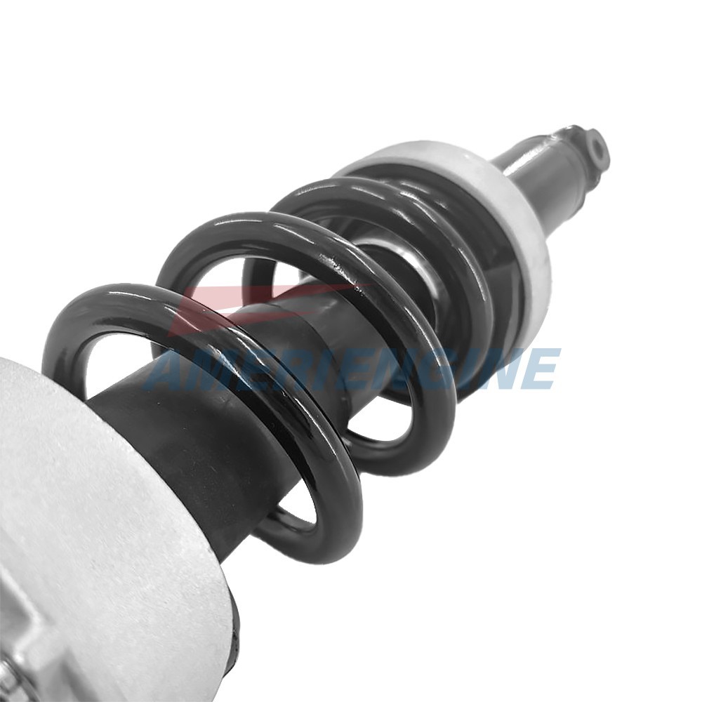 1x Front Right Shock Absorbers for Audi R8 V10 4.2L Coupe 2008-2015 420412020AG