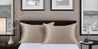 ALASKA BEAR Silk Pillowcases for Hair/ Skin, 100% Mulberry Silk, Taupe Tan set/2