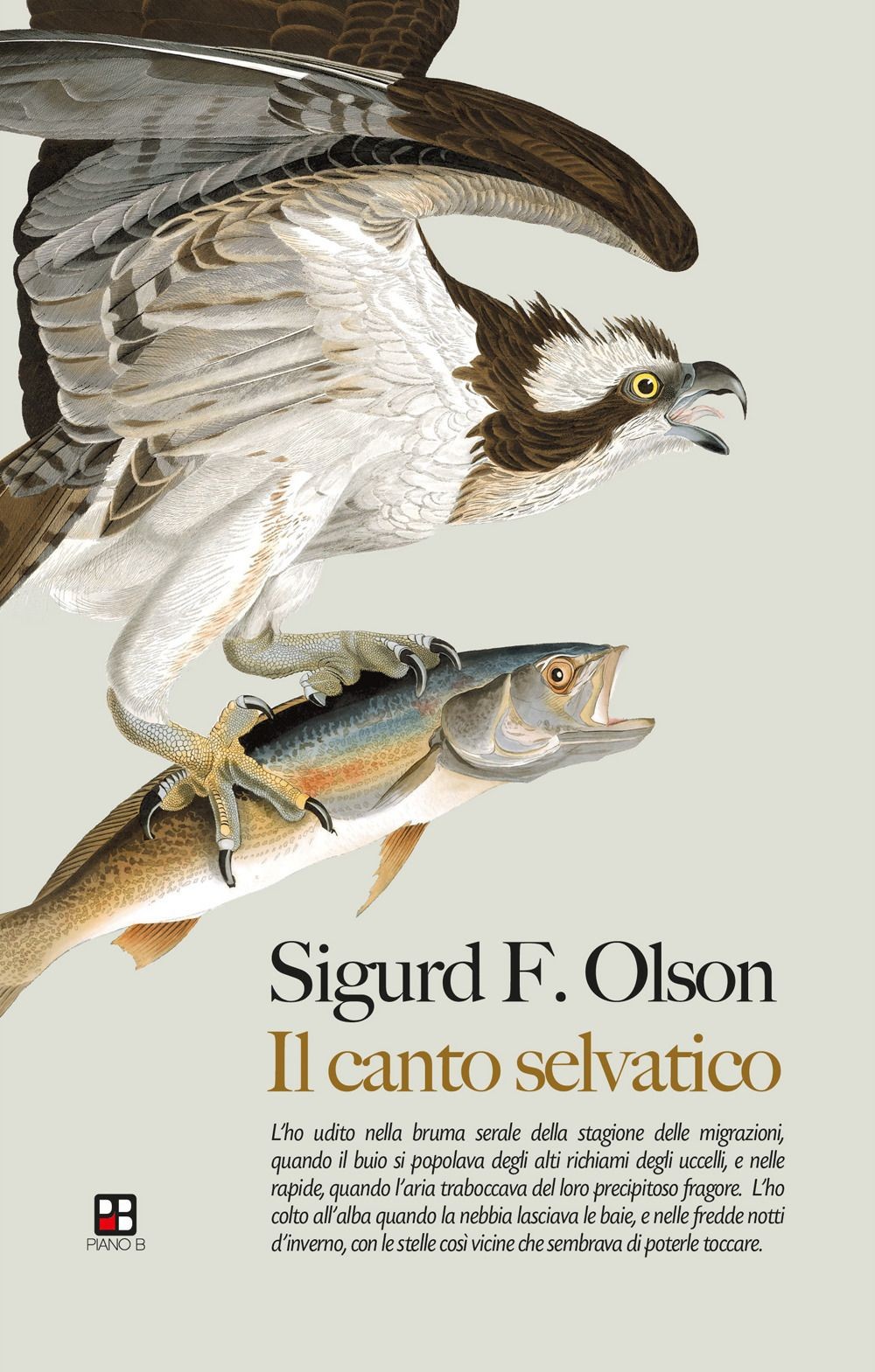 Il canto selvatico [Paperback] [Nov 24, 2023] Olson, Sigurd F. and Reggiani, Sar - Immagine 2