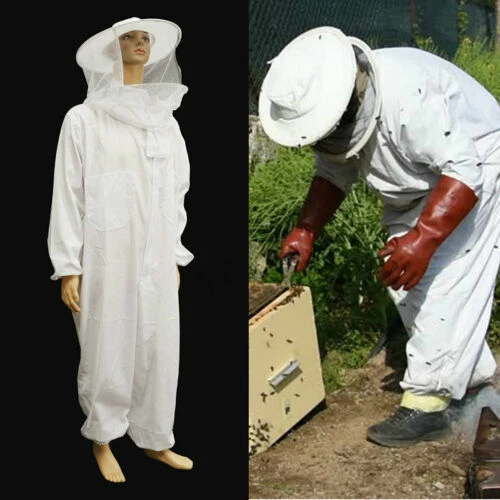 Apiculture blancs
