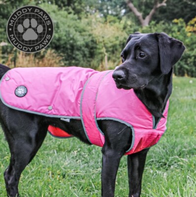 Ancol Dog Coat Stormguard Warm Muddy Paws Quilted Fleece