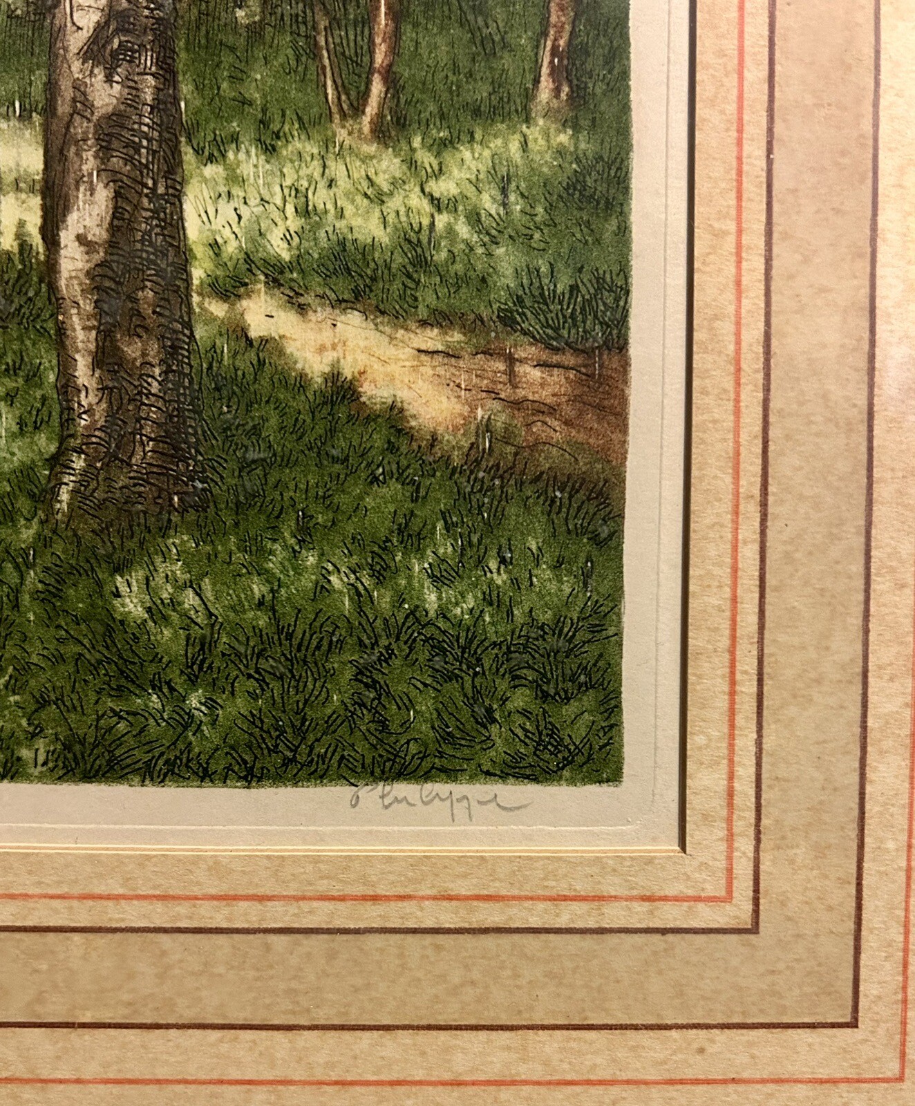 Picture 8 of 19
