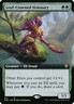 Leaf-Crowned Visionary - Foil Extended Art Dominaria United LP MTG