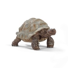 Schleich Wildlife Giant Tortoise Figure 14824