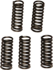 EBC CSK Clutch Spring Kit CSK97