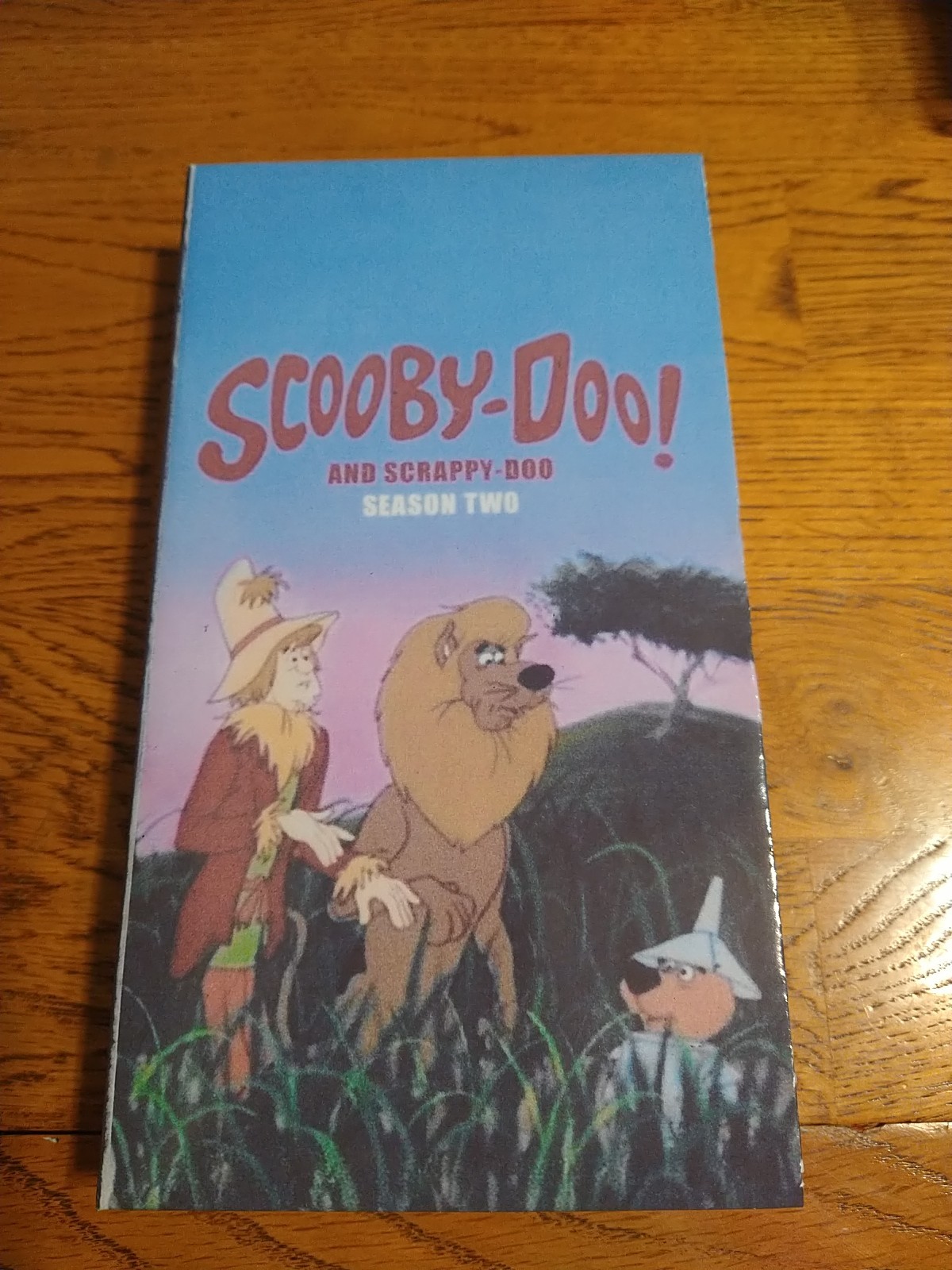 Scooby Doo and Scrappy Doo Vhs #2