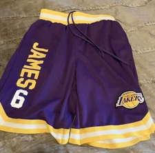 LEBRON JAMES Los Angeles LAKERS Basketball UNK Purple SMALL Shorts NBA Free Ship