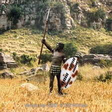 W.Britain 20203 Zulu Warrior Signaling, 1879 Britains